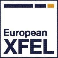 european xfel