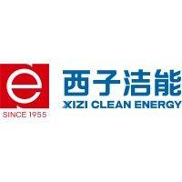 xizi clean energy (hangzhou boiler group) logo image