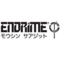 endrime ltd logo image