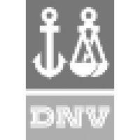 dnv software logo image