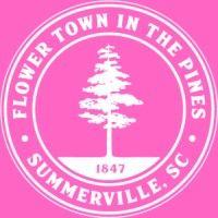 town of summerville logo image