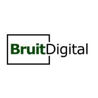 bruit digital logo image