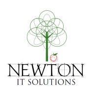 newton it solutions