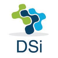 dsi professionals