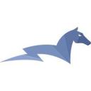 logo of Lighthorse Consulting Llc