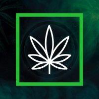 kush creative logo image