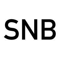 systemisches netzwerk berlin (snb) logo image