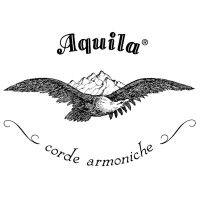 aquila corde armoniche logo image