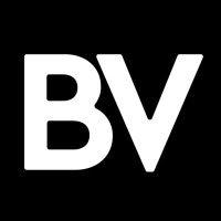 blendvision logo image