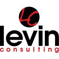 levin consulting logo image