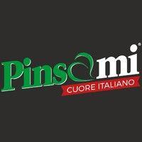 pinsami s.r.l. logo image