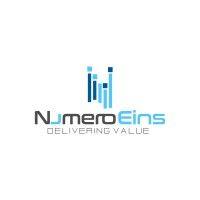 numeroeins software private limited logo image