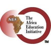 the africa education initiative (nef club) university of abuja logo image