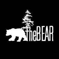 the bear logo image