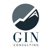 gin consulting group logo image