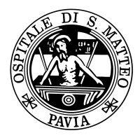 fondazione i.r.c.c.s. policlinico san matteo pavia logo image