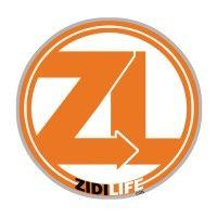 zidilife logo image