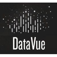 datavue inc. logo image