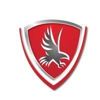 falcon insurance group llc logo image