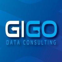 gigo data consulting logo image