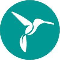 hummingbirds logo image