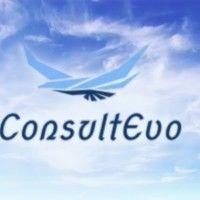 consultevo logo image