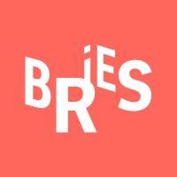 bries logo image