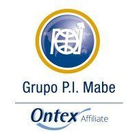 grupo p.i. mabe logo image