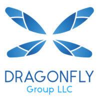 dragonfly group llc logo image