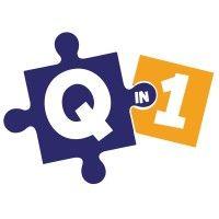 qin1 logo image