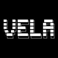 vela partners logo image