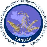 fancap logo image