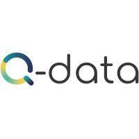 q-data ltd logo image