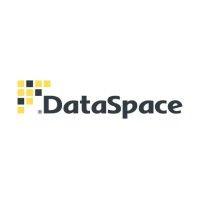 dataspace data center logo image