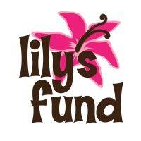 lily's fund for epilepsy research