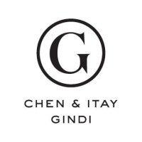 chen & itay gindi group ltd logo image