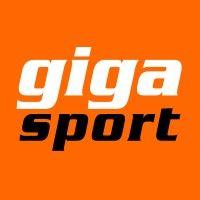 gigasport logo image