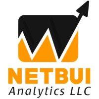 netbui analytics llc