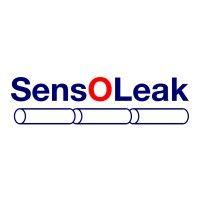 sensoleak global, inc. logo image