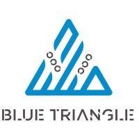 blue triangle logo image