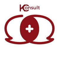 kempex consult logo image