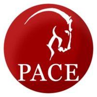 pace international academy logo image