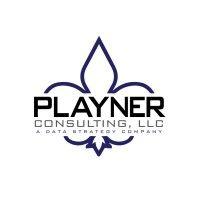 playner consulting, llc logo image