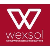 wexsol logo image