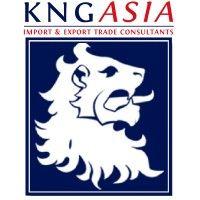 kng asia: business development, consulting and trading logo image