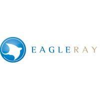 eagle ray, inc.  purchased by solerity, inc