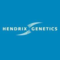 hendrix genetics layers logo image