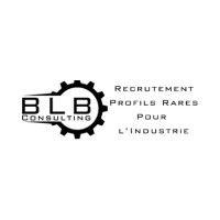 blb consulting logo image