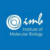 institute of molecular biology (imb) logo image