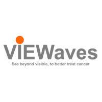 viewaves logo image